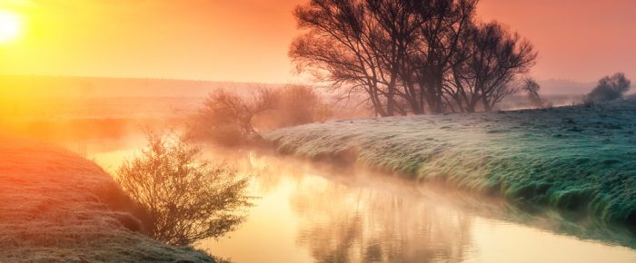 Benefits of doses of nature experience