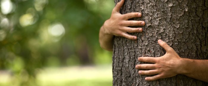 Losing contact with nature