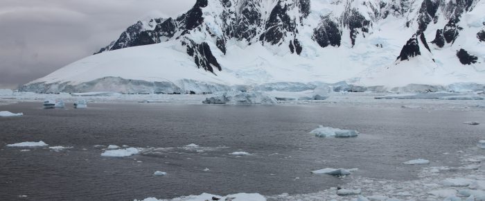 Biodiversity prospects for Antarctica