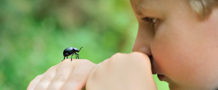 Personalising ecology